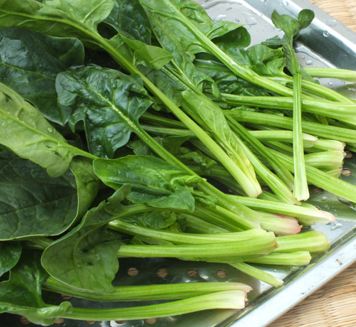 菠菜新鮮綠色無(wú)公害蔬菜